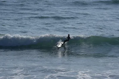 DSC_6939 (Large).JPG